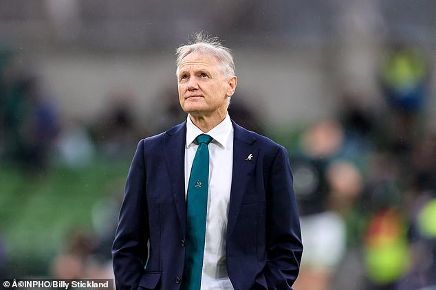 Joe Schmidt's Australian side have impressed on their spring tour of Europe despite failing to win the Grand Slam