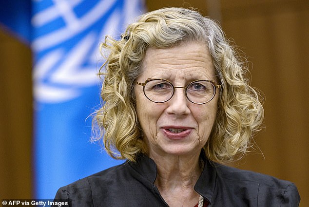 Inger Andersen, head of the UN Environment Programme, said the talks would allow progress in future negotiations