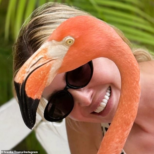 In the snap, Ivanka posed next to a flamingo and grinned from ear to ear