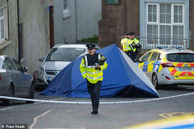 Gardaí have cordoned off the area in New Ross as detectives investigate the scene