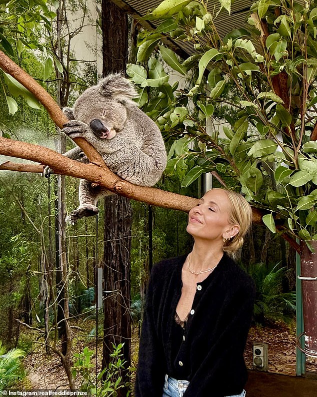 The petite actress snuggled a little closer to the sleeping koala than her husband and smiled with her eyes closed, in the koala pose, as she enjoyed the special meet-and-greet.