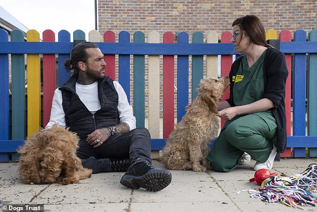 Pete's heartwarming 'dog-u-mentary', called Pete Wicks: For Dogs Sake, and produced by BBC Studios Entertainment, follows the reality star as he spends time at Dogs Trust in Basildon helping the charity rescue, rehabilitate and rehome puppies