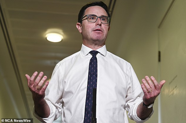 Nationals leader David Littleproud (pictured) said the hospitality group was prepared to boycott Australia Day but was unwilling to miss out on bank holiday profits