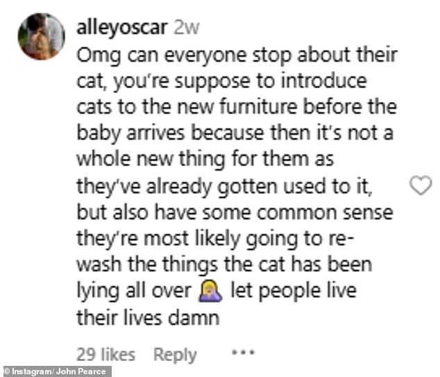 Despite numerous followers calling out the expectant new parents, others rushed to their defense and knocked to the ground those who complained about the cat in the crib.