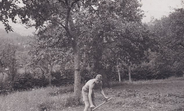 Another photo of Edward tending the garden with a scythe while wearing only shorts