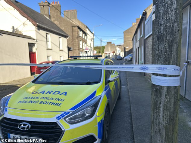 Garda at the scene in New Ross, County Wexford, where the stabbing took place