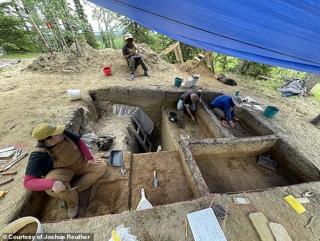 Pictured above, the excavation site known as 'Hollembaek Hill', south of Delta Junction in Alaska, where the ancient dog jawbone was unearthed. Archaeologists have long conducted research in collaboration with local tribes in this Delta Junction area