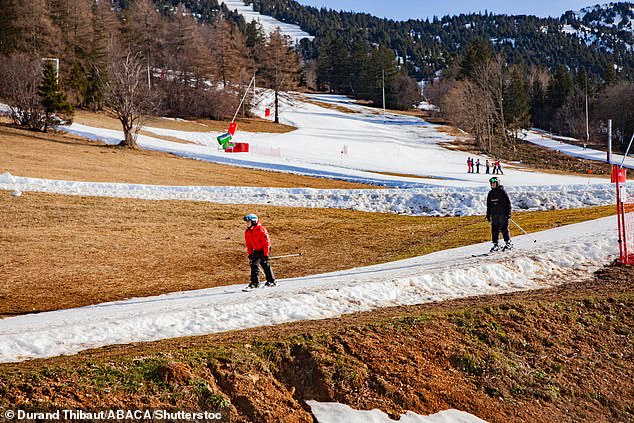 Resorts at lower altitudes and in the warmer southern areas of the Alps were hit harder, as rising temperatures caused precipitation to fall as rain rather than snow. Pictured: Skiers try to make the most of conditions as France's Lans en Vercors ski resort has no snow on January 27