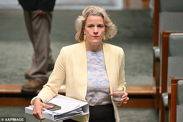 Housing Minister Clare O'Neil has criticized CommBank over its $3 withdrawal fee