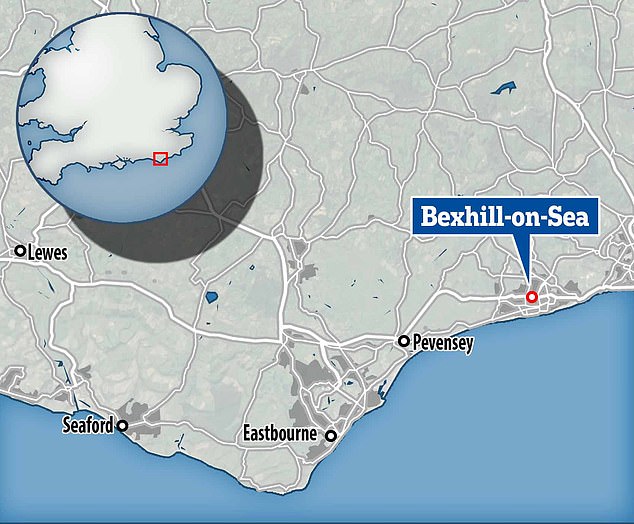 The fossils were discovered at the Ashdown Brickworks in Bexhill-on-Sea, just west of Eastbourne