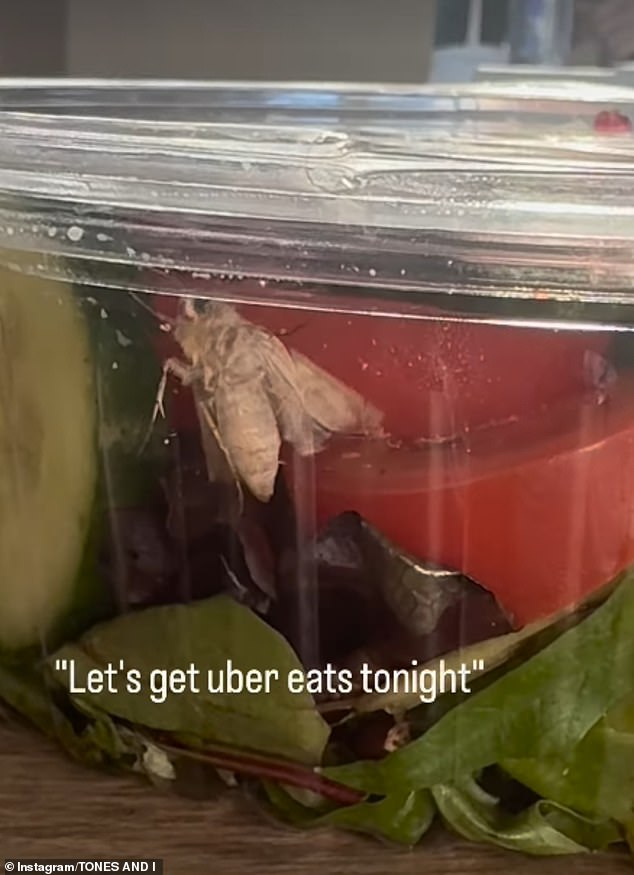 The Australian singer, real name Toni Watson, treated herself to a salad via Uber Eats but was left shocked after finding a huge moth in her meal