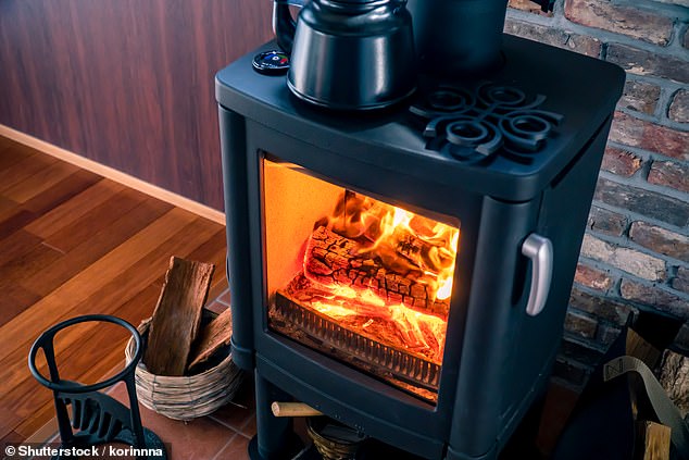 Trendy wood-burning stoves are Britain's biggest source of the most dangerous form of air pollution called PM2.5, new research shows (stock image)