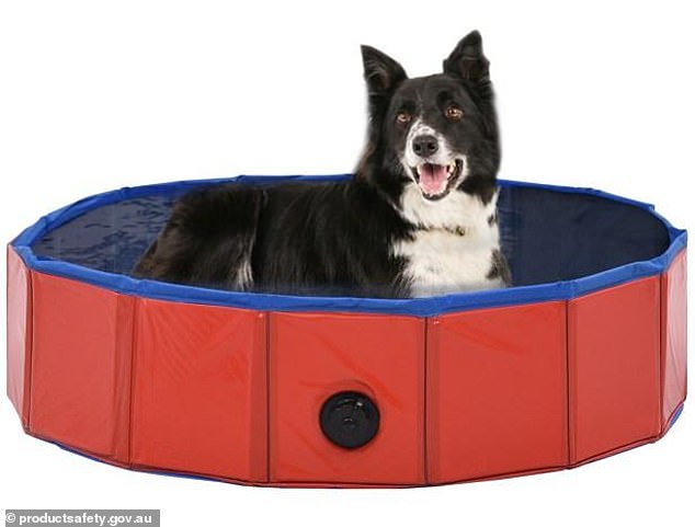 The VidaXL foldable dog pool poses a drowning hazard for children, even if they are shallow