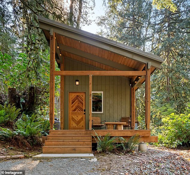 Their most ambitious project to date was building a cabin from scratch on a $20,000 plot of land