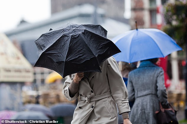 The stress hormone cortisol is already higher in winter due to the cold weather and lack of daylight (archive photo)