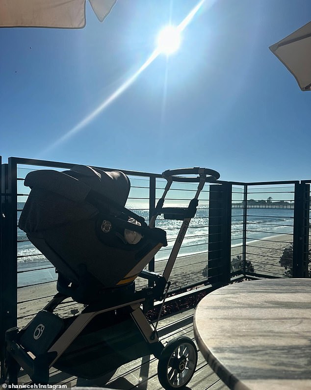 In another image, the brunette beauty showed off her ocean view while enjoying a beach brunch with her newborn; seen in November