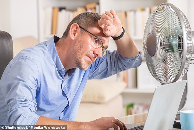 In 2019, researchers at the USC Marshall School of Business found that office temperature can impact your productivity (stock image)