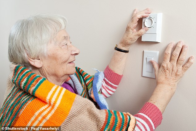 Age can also influence our temperature preference, with older people feeling cold more than younger people (stock image)