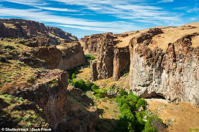 The governor, in his final weeks in office, made a final plea to President Joe Biden to designate more than a million acres of land in eastern Oregon as a national monument.