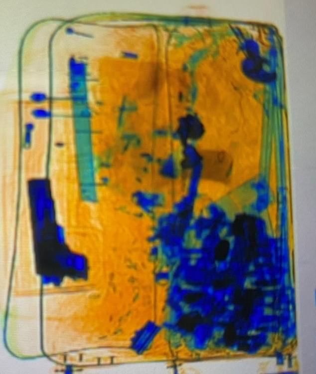 When a customs officer asked about the gun, Goodson replied that she had forgotten it (photo an x-ray of her luggage with the gun)