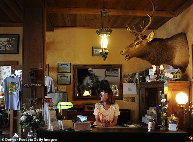 Fairplay offers views of the Rockies and world-class fly fishing (photo: Brooke Bodin, assistant manager of the Hand Hotel at Fairplay, below 'Maynard' the moose