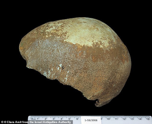 In 2015, researchers from Case Western Reserve helped identify a 55,000-year-old skull (pictured) found in the cave. It showed evidence of interbreeding between Neanderthal and Homo sapiens, with the features of each clearly visible in the skull fragment