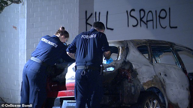 An investigation into the attack is underway (photo: forensic police on site examine the burnt-out car)