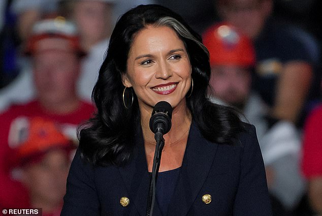 Tulsi Gabbard is also expected to face scrutiny during her Senate hearings in her bid to become director of national intelligence.