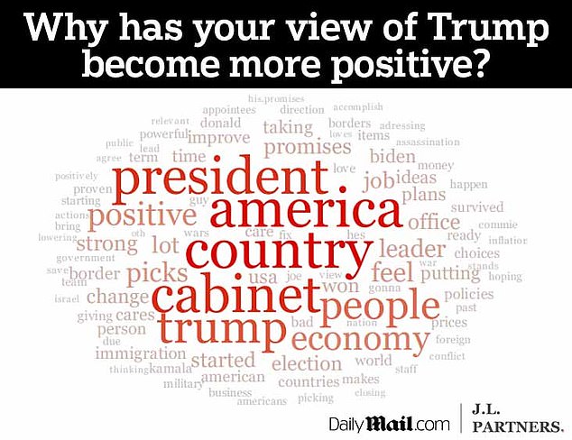 Voters were asked to explain why their opinion of Trump had changed. For