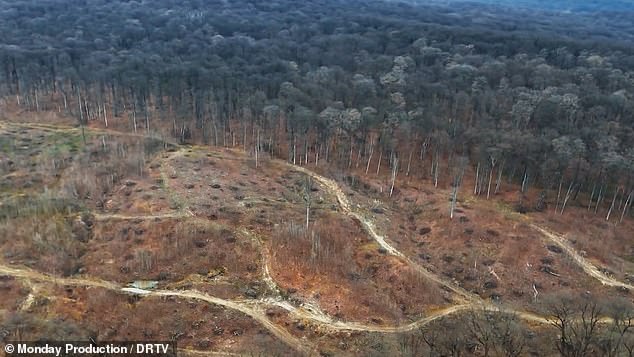 Huge scars can be seen in the five Ikea locations, caused by large machine tracks