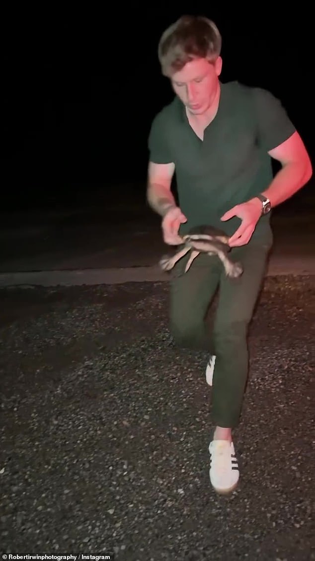 The Wildlife Warrior, 21, shared on Instagram a rescue of a freshwater turtle stuck on a highway. He wore a green mesh-knit short-sleeved shirt and his biceps and muscular forearms were prominent