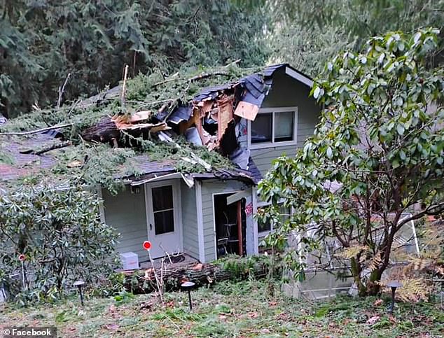 This unique storm event comes just weeks after a similar event in November rocked the West Coast and caused extensive damage in western Washington