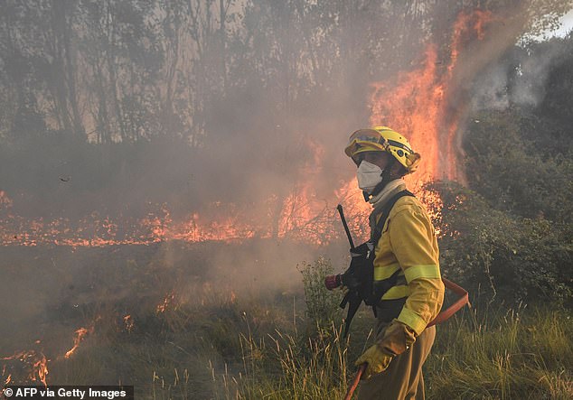 In the photo: a firefighter tries to extinguish a forest fire next to the village of Tabara, near Zamora