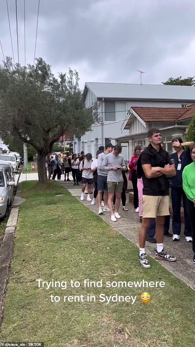 Huge lines of Sydneysiders are queuing to inspect an apartment in the city's east