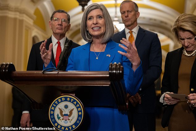 Ernst has been tasked with assisting with DOGE efforts in the Senate