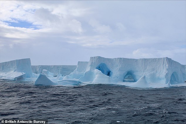 The iceberg originally calved from the Filchner Ice Shelf in Antarctica in 1986. It then remained grounded on the seabed in the Weddell Sea before beginning its slow journey north in 2020.