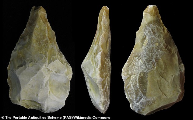 The newly found artifacts are classified as Mode 2 tools, which are large, two-sided cutting tools made from stone flakes and cores, such as Acheulean hand axes, pictured above (STOCK)