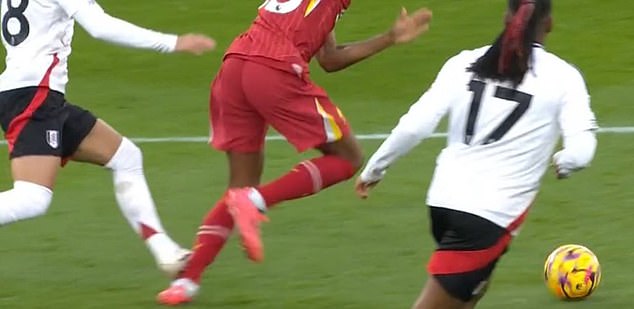 The Fulham midfielder's studs fell past Gravenberch's legs, infuriating Liverpool