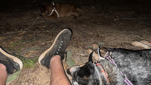 The couple and their two dogs (pictured) were trapped in their flooded 4WD, but managed to escape just in time