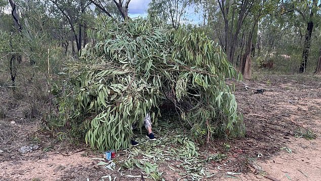 The couple survived by building a makeshift shelter against branches and leaves and drinking muddy water