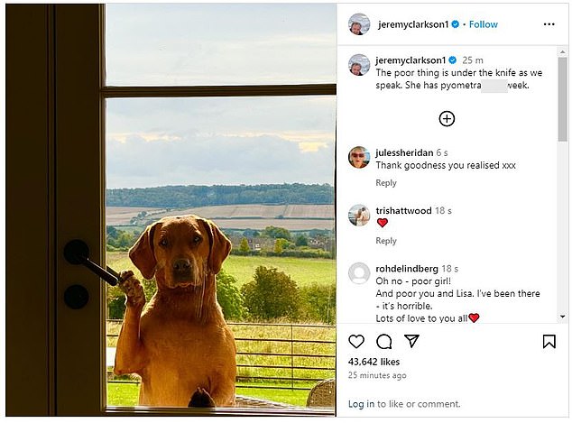 The former Top Gear star posted on Instagram in October that his dog had also gone under the knife this week, with pyometra, in what he called a 's**t week'.