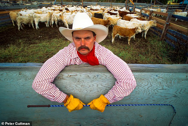 A cattle dealer in Marion, Montana