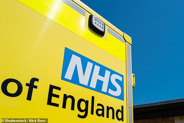 NHS England has said that delays in transmission pose a risk to patients and are also jeopardizing care in the community (stock image)