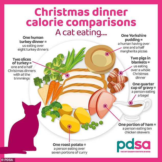 According to the PDSA, a serving of ham for a cat is equivalent to eating 10 chicken skewers.