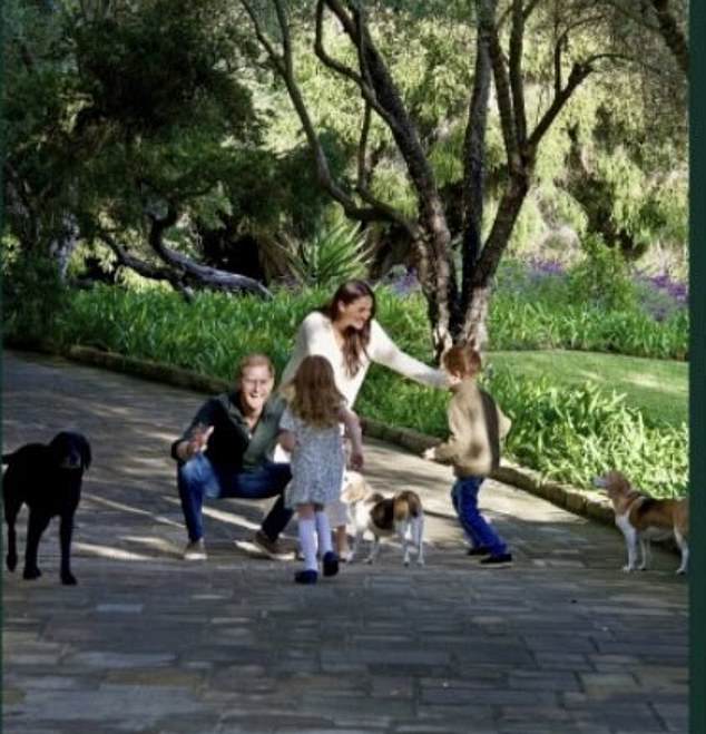 A close-up of the Sussexes' family photo, which also shows their three dogs