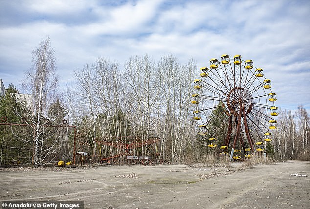 After the tragic event, people were evacuated from Chernobyl and surrounding areas to avoid the extreme radiation levels. But some organisms survived