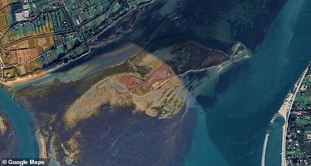 However, the island's formation could be a sign that the flood defenses are preventing storm surges from transporting silt to nearby salt marshes. This could lead to the collapse of this vital ecosystem that stores 30 times more CO2 than a forest of the same size