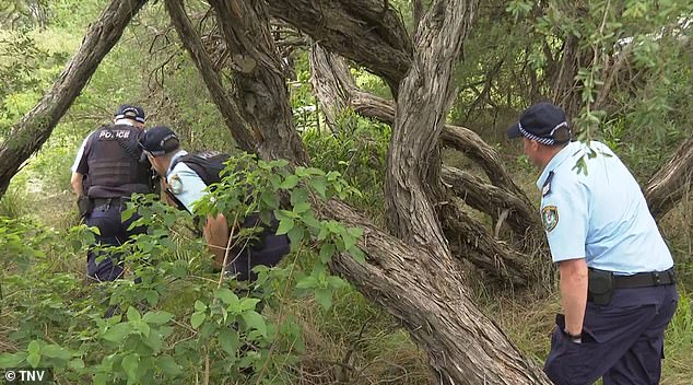 Police are seen searching Botany Bay Park where Ms Li's body was found last Monday