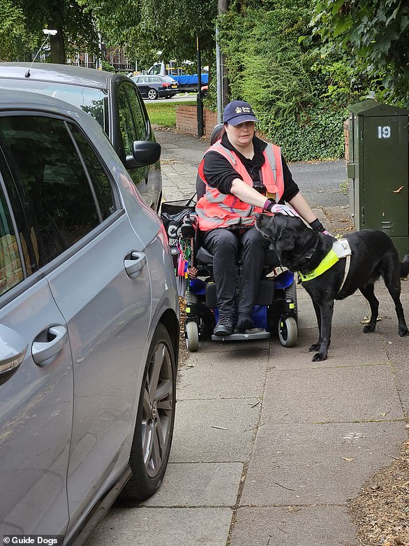 Julie says that parking on the sidewalk sometimes forces her to drive back in the opposite direction for 20 minutes before she can find a suitable dropped sidewalk to cross the road and avoid vehicles blocking the sidewalk.