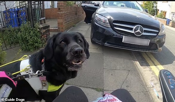 Julie says it's a struggle every day as drivers use the sidewalk to park